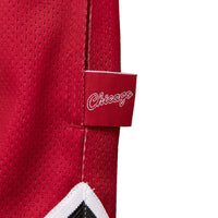 Mitchell & Ness Chicago Bulls  Big Face Shorts - Red